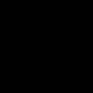 Meet your Posher, Teigan